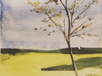 N/A