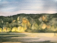 N/A