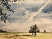 N/A