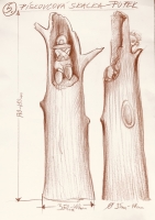 N/A