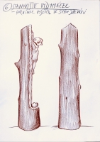 N/A
