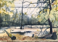 N/A